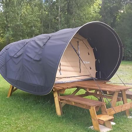 Les Berges Du Cele Hotel Bagnac Eksteriør billede